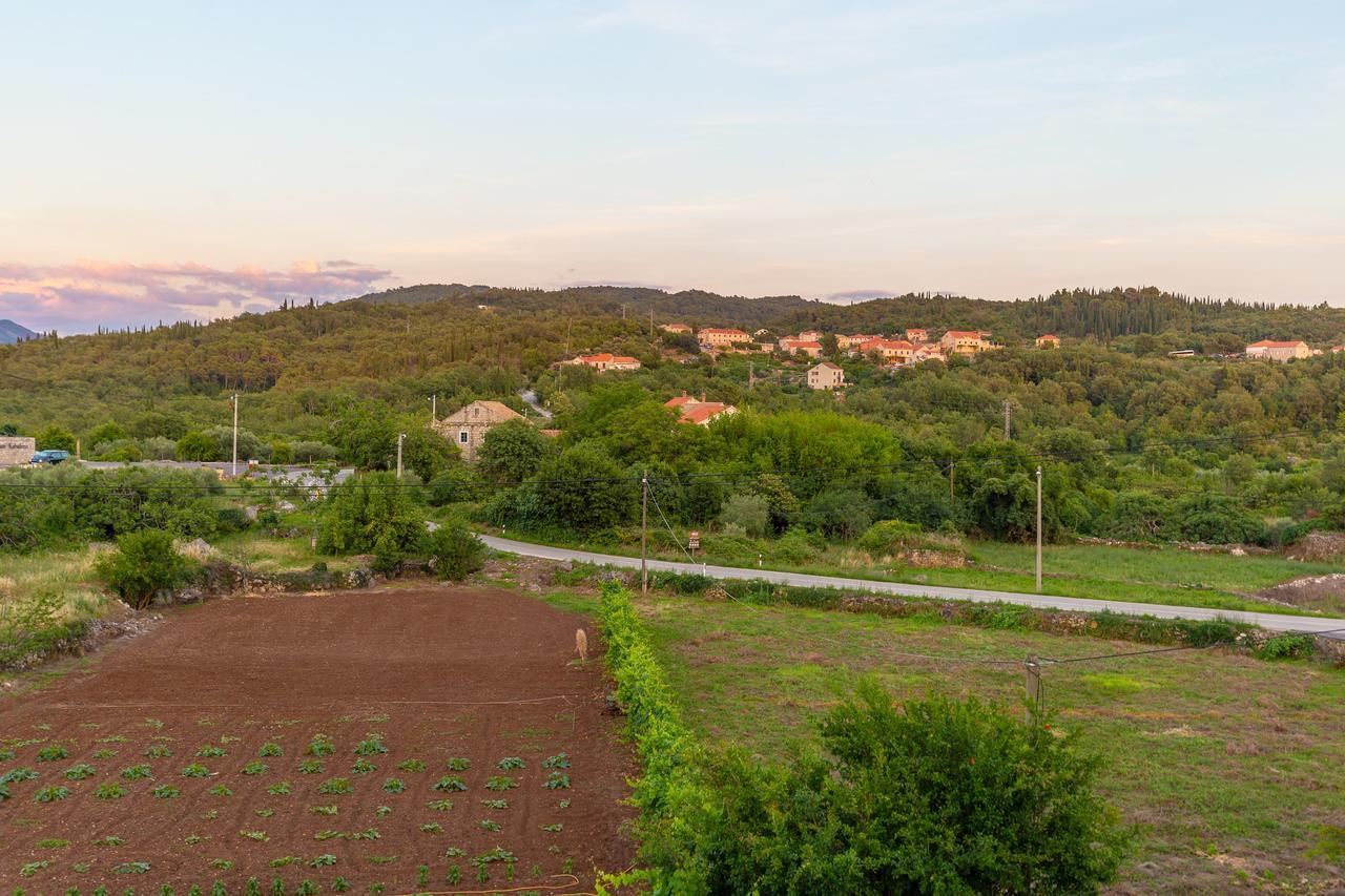 Konavle Apartments Zlatovisce Gruda Exterior photo